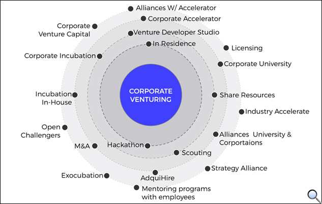Corporate Venturing | CPVS Group